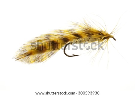Fly fishing lures isolated