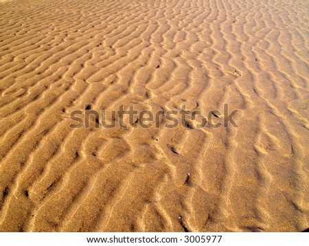 An image of Sand background with wave patterns