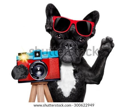 cool tourist photographer dog taking a snapshot or picture with a retro old camera gesturing to say cheese , isolated on white background