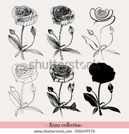 Collection of roses: mark, spot, line, pattern, detailed--. Vector illustration.