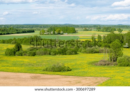beautiful green fields under blue sky in summer with white clouds and perspective