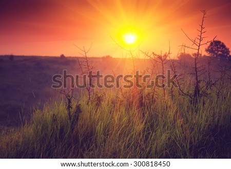 Landscape sunrise at summer. Foggy morning on meadow. Filtered image:cross processed vintage effect.