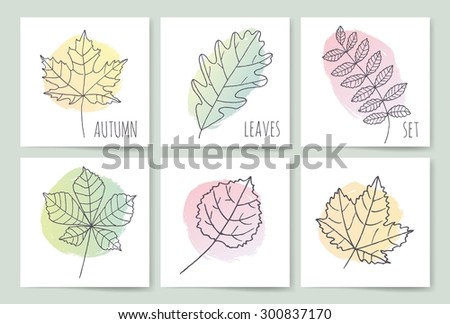 Template. Autumn background with leaves. Set leaf sketch. Autumn doodle set. Hand draw leaves. Set of leaves sketch for you design