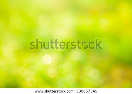 Yellow Blur Glass  Abstract Backgrounds