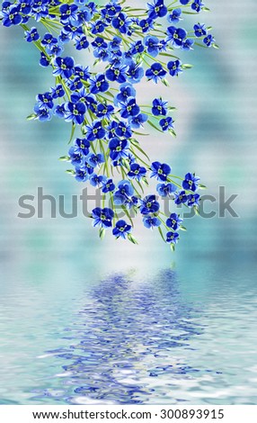 Floral background. Flowers forget me.