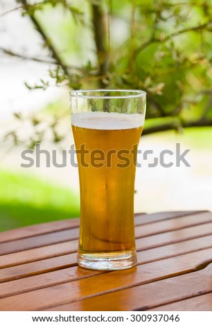 Beer Glass on the Table in Outdoor Cafe