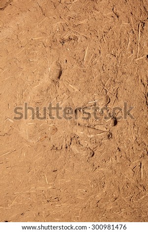 macro texture fragment of the wall of clay and straw in sunlight