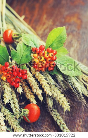 rye, wheat ears and berries