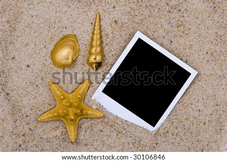 Photo frame with golden sea shells on sand background
