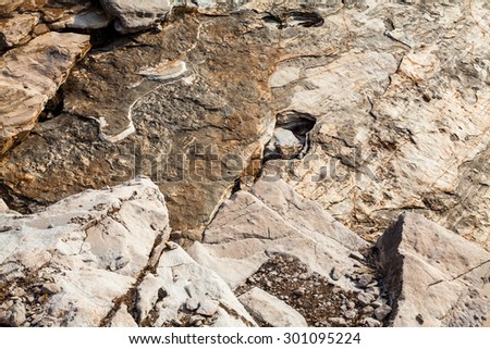 Aegean seashore and marble rocks in Aliki, Thassos island, Greece
