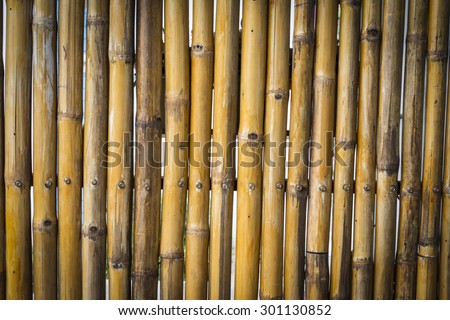 bamboo texture background