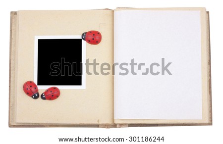 Photo frame with lady beetle