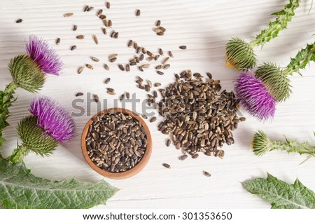 Seeds of a milk thistle with flowers (Silybum marianum, Scotch Thistle, Marian thistle ) on wooden table Royalty-Free Stock Photo #301353650