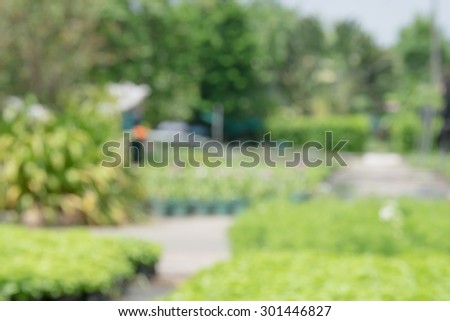 city park bokeh background for backdrops real lens blur