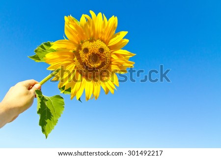 Happy sunflower in the hand with funny face