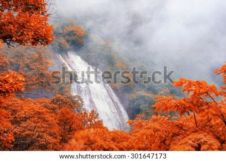 misty waterfall and red leaf in frame