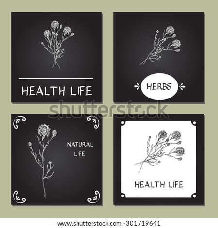 Hand-sketched templates with wildflowers, grasses, leaves. Eco, wood, nature, health, natural, seasons. Suitable for ads, invitations, signboards, business  card, and web banner designs