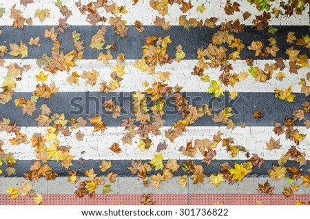 Fall on pavement