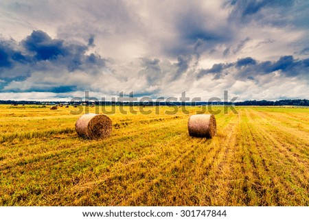 Haystacks in the field before the storm. Image in the yellow-blue toning