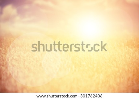 Vintage photo and Abstract blurred background.Brown and gray grass in sunset warm light and lens flare