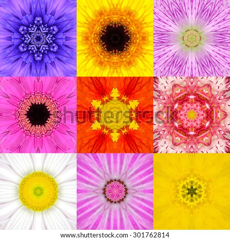 Collection Set of Nine Concentric Flower Mandalas. Full Frame Flower Background in Various Colors, Yellow, Pink, Orange, Blue, Red, Purple. Kaleidoscope Concentric design. 