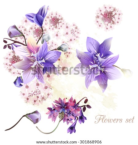 Collection of tender flowers watercolor style