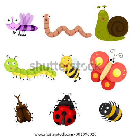 Illustrator of bug