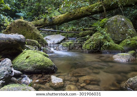 Streams in deep mountain forests far from the village and the big city. Quiet, refreshing and relaxing. It is a great idea for relaxation and camping at the weekend