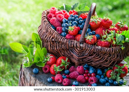 Healthy berries in sunny day Royalty-Free Stock Photo #301913003