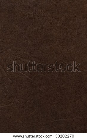 High Resolution Close-up Of Genuine Leather
