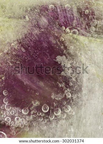 vertical abstraction of delicate lilac petals frozen in ice with air bubbles