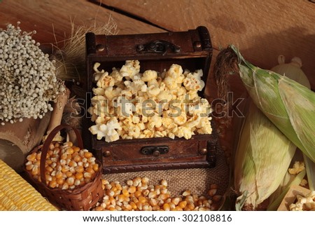 Popcorn and yellow dry corn grain with fresh corn