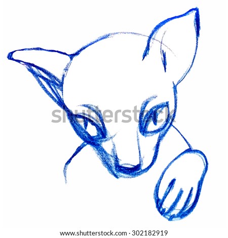 Hand drawn cat sketch
