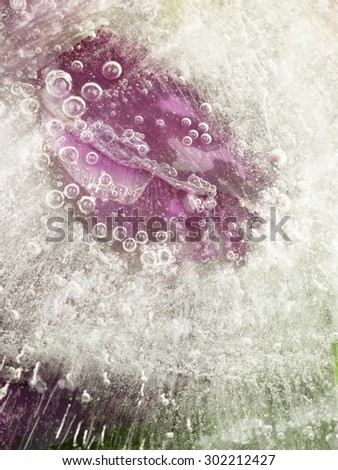 vertical abstraction of delicate lilac petals and leaves frozen in ice with lots of air bubbles