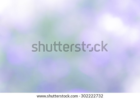 beautiful natural bokeh background and blurry focus