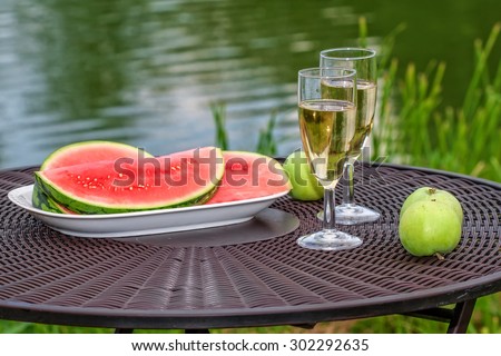 Picnic at the lake in the summer