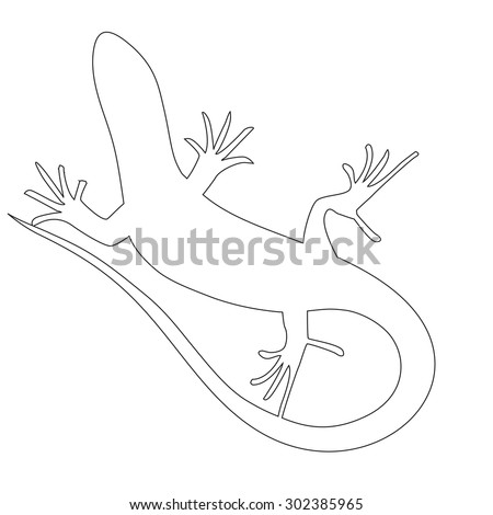 Beautiful  monochrome lizard, lizard silhouette. outline picture salamander. Vector illustration