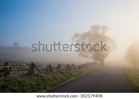 Tree, fog, way nad fence in autumn