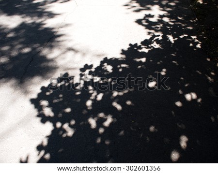 Fragment of asphalt track, which falls the shadow of the maple for use as background or wallpaper
