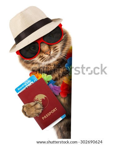Funny cat with passport and airline ticket , isolated on white background.
It is going on vacation.
