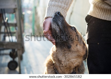 Man and his German Shepherd dog Royalty-Free Stock Photo #302865182