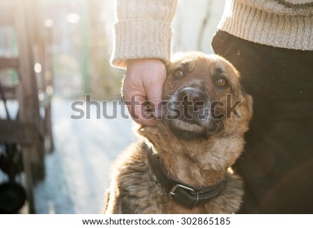Man and his German Shepherd dog Royalty-Free Stock Photo #302865185