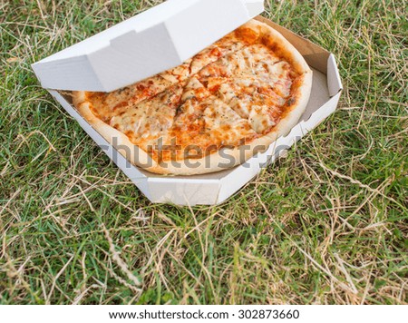 closeup pizza on grass
