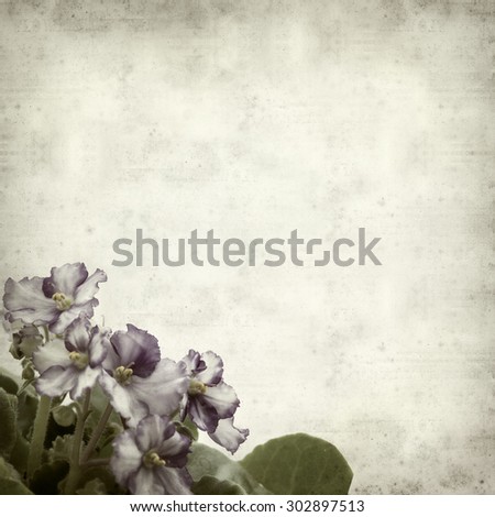 textured old paper background with variegated african violet