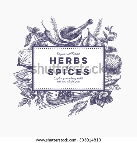 Vector background with hand drawn herbs and spices. Organic and fresh spices illustration. Royalty-Free Stock Photo #303014810