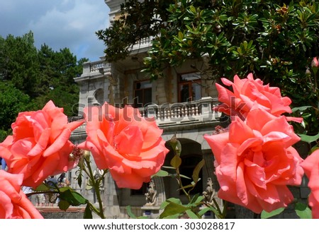 Bush of red roses on background of ancient castle