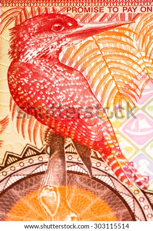 5 Gambian dalasi bank note. Gambian dalasi is the national currency of Gambia