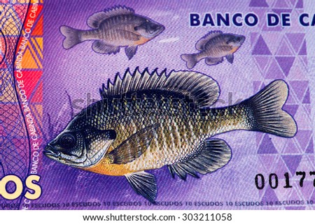 10 escudos bank note. Escudo is the currency of Cabinda province of Angola
