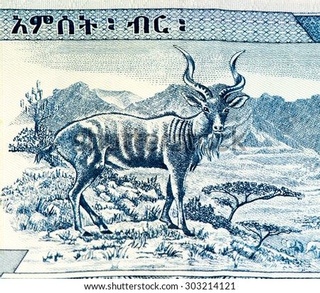 5 Ethiopian birr bank note. Birr is the national currency of Ethiopia