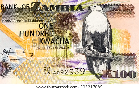 100 Zambian kwach bank note. Zambian kwacha is the national currency of Zambia